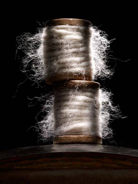 Photograph Joe Felzman Hairy Spool on One Eyeland